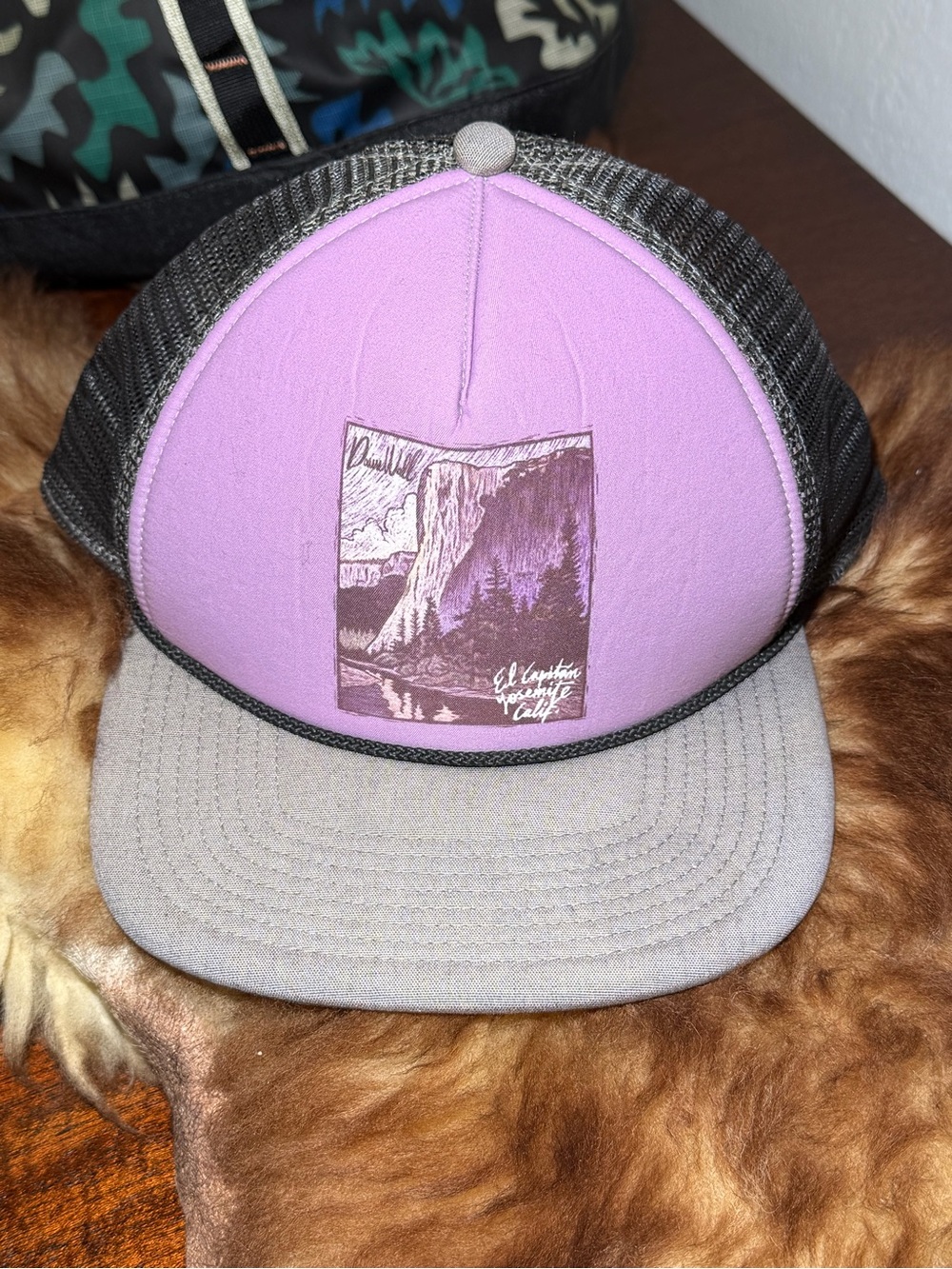 Patagonia El Cap Classic Interstate Hat